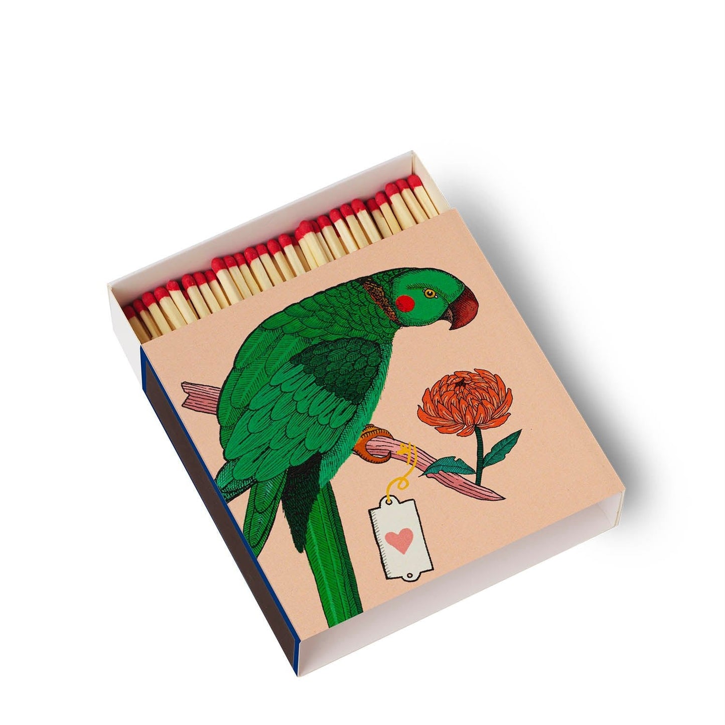 Allumettes Perroquet