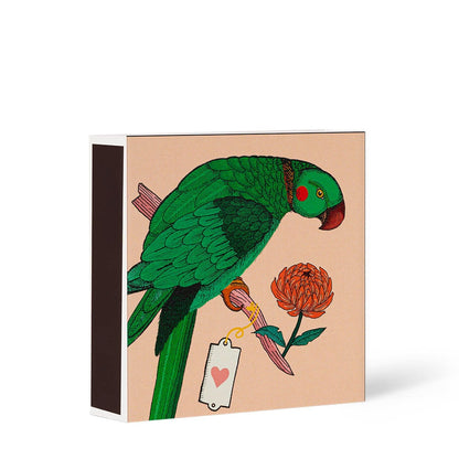 Allumettes Perroquet