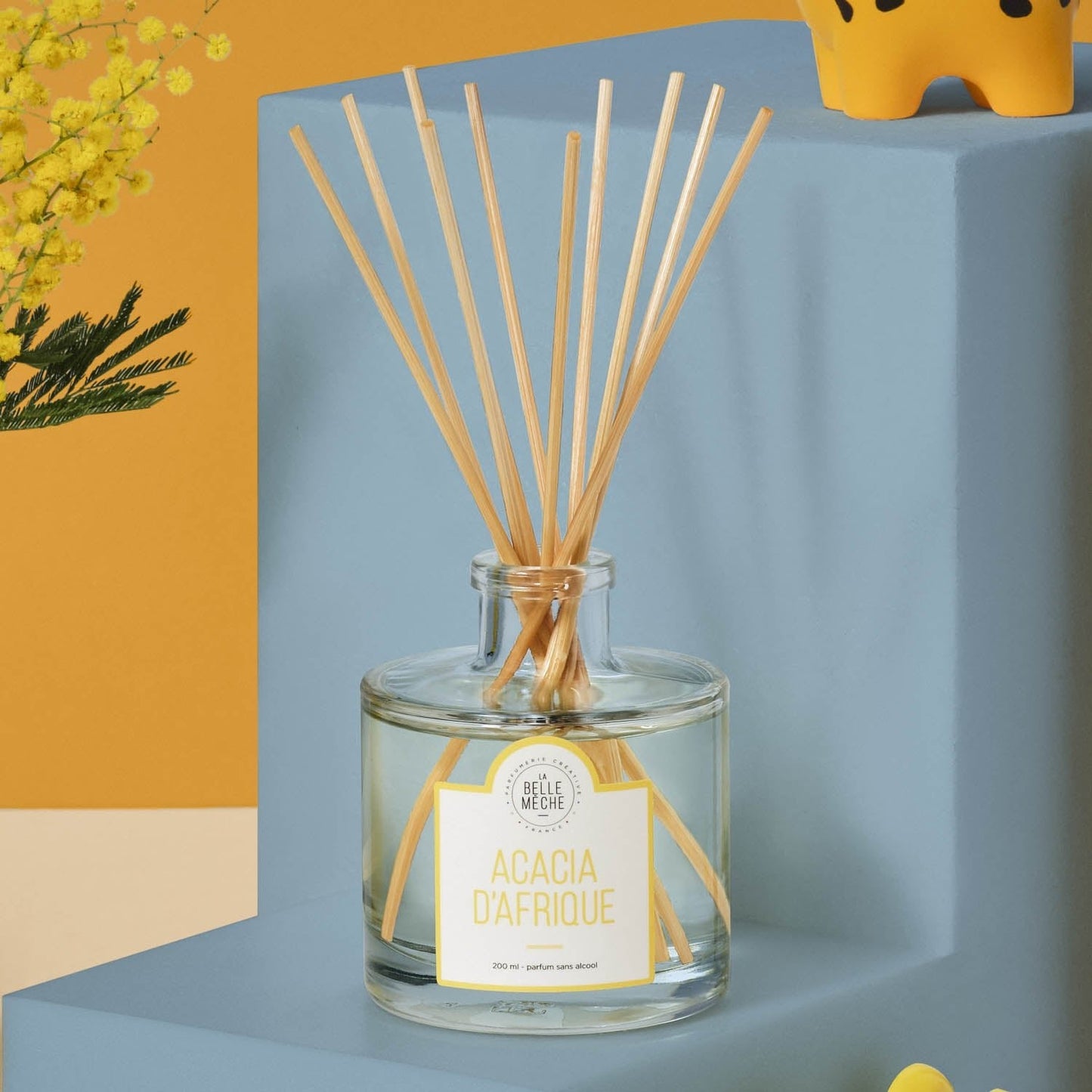 Diffuseur Acacia d'Afrique